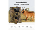 Фотопастка Suntek HT001B камера для полювання/охорони з нічною зйомкою та датчиком руху - зображення 2