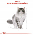 Sucha karma dla kotów Royal Canin Norwegian Adult 400 g (3182550825962) - obraz 3