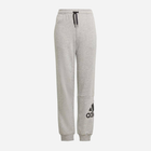 Дитячі спортивні штани для хлопчика Adidas B Bl Ft C Pt GN4016 122 см Сірі (4064036026799) - зображення 1