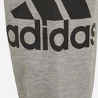 Підліткові спортивні штани для хлопчика Adidas B Bl Ft C Pt GN4016 140 см Сірі (4064036023095) - зображення 4