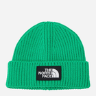 Шапка The North Face NF0A3FJXPO8 One Size Зелена (196575387001)