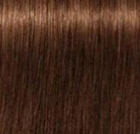 Фарба для волосся Indola PCC Intense Coverage 6.38+ Dark Blonde Gold Chocolate 60 мл (4045787932546) - зображення 2
