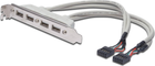 Кабель USB Slot Bracket 4x Digitus тип A-2x10pin IDC F/F 0.25m USB 2.0 (AK-300304-002-E) - зображення 1
