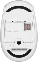 Комплект бездротовий Microsoft Wireless Desktop 3050 WL Rus (PP3-00018) - зображення 8