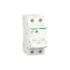 Автоматический выключатель Schneider Electric RESI9 6kA 2P 50A C (R9F12250)