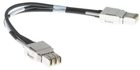 Kabel Cisco Type 1 Stacking Cable 1 m (STACK-T1-1M=) - obraz 1