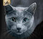 Вологий корм для котів Sheba Sauce Speciale телятина в соусі 85 г (5900951290572) - зображення 3