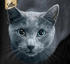 Вологий корм для котів Sheba Sauce Speciale з індичкою в соусі 85 г (5900951290558) - зображення 3