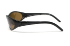 Очки поляризационные BluWater Venice Polarized (brown) коричневые в черной матовой оправе - изображение 6