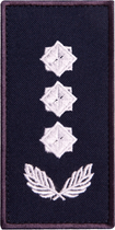 Шеврон нашивка на липучці IDEIA погон звання ДСНС Полковник, вишитий патч 5х10 см (2200004303772) - зображення 1