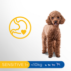 Sucha karma dla psów Perfect Fit Sensitive 1+ z indykiem 825 g (4008429136184) - obraz 2
