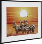 Zestaw do haftu diamentowego Craft Sensations Zebra 40 x 50 cm (8720257102372) - obraz 3