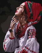 Картина по номерам Цветы звезды Идейка 40 х 50 KHO4962