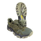 Тактичні шкіряні кросівки Oksy Tactical літні з сіткою трекінгові Olive розмір 40 - зображення 3