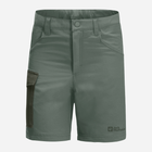 Підліткові шорти для хлопчика Jack Wolfskin Active Shorts K 1609341-4311 176 см Темно-зелені (4064993682618)