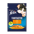 Влажный корм для кошек Felix Fantastic с курицей в желе 100г