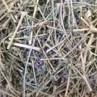 Дымянка/рутка лекарственная трава сушена 100 г - изображение 1