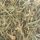 Дрок красильный/кровожадный трава сушеная 100 г - изображение 1