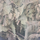 Грецкий орех лист сушеный 100 г - изображение 1