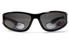 Бифокальные поляризационные очки BluWater Bifocal-3 (+2.5) Polarized (gray) серые - изображение 2