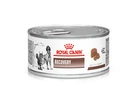 Влажный корм для взрослых собак Royal Canin Recovery Паштет