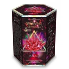 Набір Danko Toys для проведення безпечних дослідів GROWING CRYSTAL рубін (GRK-01-03U)