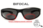 Бифокальные поляризационные защитные очки 3в1 BluWater Winkelman-2 (+2.5) Polarize (gray) серые - изображение 1