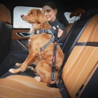 Pas bezpieczeństwa dla psów EzyDog Click Dog Zero Shock Seat Belt Black (9346036003792) - obraz 3