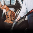 Pas bezpieczeństwa dla psów EzyDog Click Seat Belt Leash Add On Black (9346036009077) - obraz 3