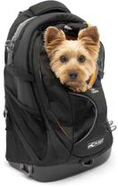 Рюкзак для переноски тварин Kurgo GTrain 11 кг Black (0813146016831) - зображення 1