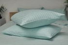 Набор наволочек Moon&Star Satin Stripe Stripe Mint 50х50 2 шт (MS-840000416)
