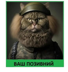 Шеврон патч "Пухнастий кіт солдат" на ліпучкі велкро