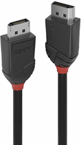 Kabel Lindy Black Line DisplayPort 0.5 m Black (4002888364904) - obraz 1