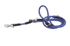 Світловідбивний повідець для собак Camon Синій 12 x 2000 мм (8019808163253) - зображення 1