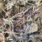 Ясменник душистый/подмаренник трава сушеная 100 г - изображение 1