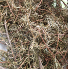 Можжевельник трава/ветки сушеные 100 г - изображение 1
