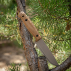 Туристический Нож из Углеродистой Стали с ножнами ADVENTURER CSHF BPS Knives - Нож для рыбалки, охоты, походов - изображение 5