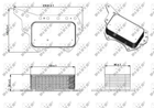 Охолоджувач оливи, моторна олива NRF 31337 NRF (31337)