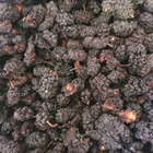 Шовковиця чорна сушені ягоди/плоди сушені 100 г - зображення 1