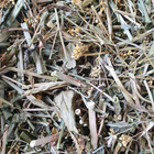 Жовтушник левкоїдний трава сушена 100 г - зображення 1