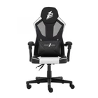 Кресло для геймеров 1stPlayer p01 Black White
