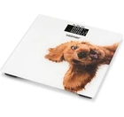 Ваги напольні Zelmer ZBS1010 Crazy dog