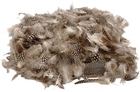 Декоративні пір'я Creativ Company Guinea Fowl Feathers Natural 50 г (5707167903773) - зображення 1
