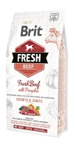Сухой корм Brit Fresh Growth & Joints для щенков и юниоров крупных пород собак с говядиной и тыквой