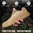 Тактические кроссовки ак tactical predator кайот esdy 45 - изображение 2