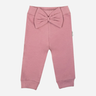 Підліткові спортивні штани для дівчинки Nicol 204275 140 см Рожеві (5905601027454) - зображення 1