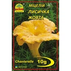 Міцелій грибів Лисичка жовта 10 г (Насіння країни)