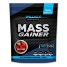 Гейнер Willmax Mass Gainer
