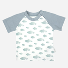 Дитяча футболка для хлопчика Nicol 205138 98 см Білий/Сірий (5905601015994) - зображення 1