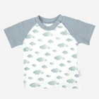 Dziecięca koszulka dla chłopca Nicol 205138 110 cm Biały/Szary (5905601016014) - obraz 1